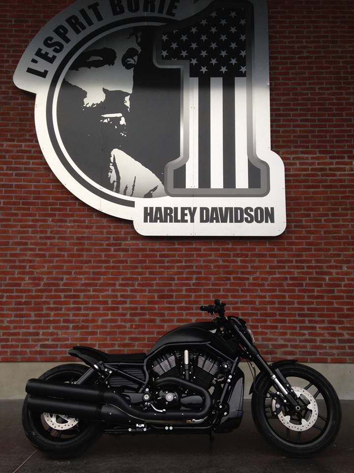 Harley Davidson Muscle " Full Black " Borie