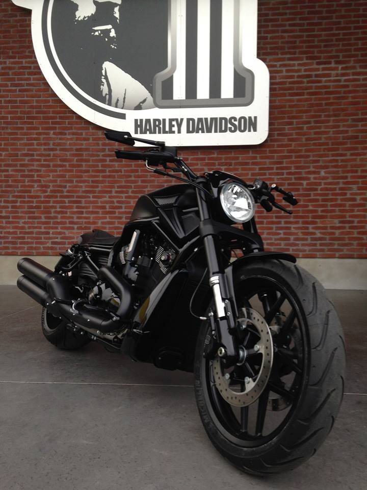 Harley Davidson Muscle " Full Black " Borie